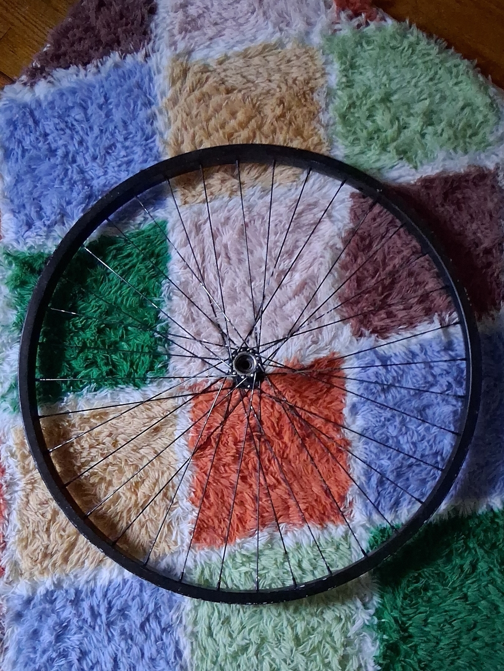 Black Bicycle Wheel Rim with Spokes